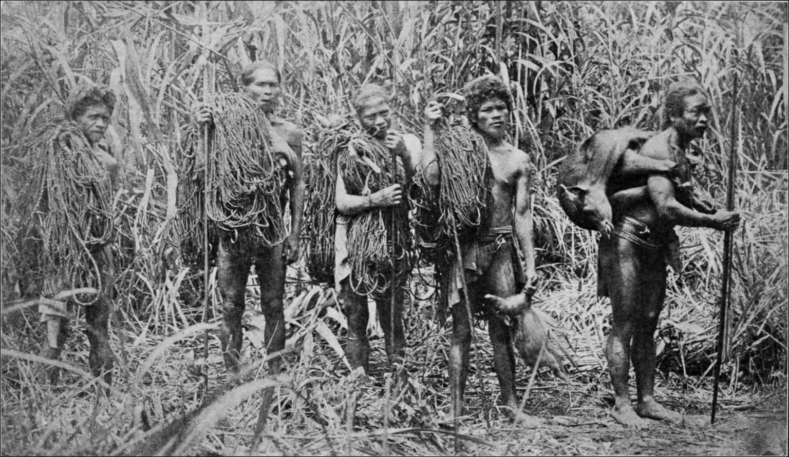 I tagliatori di teste