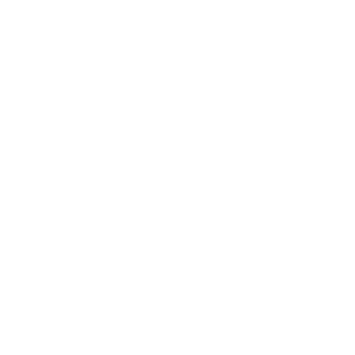 Istituto Massimo